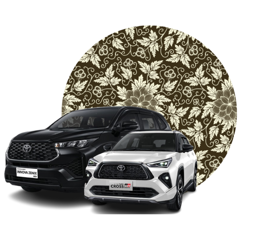 MGTransport Bali Cars